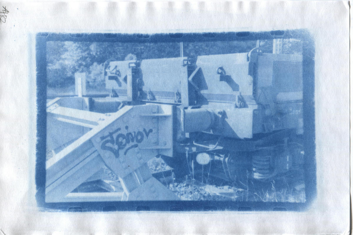 Blue Sheet Cyanotype Rex